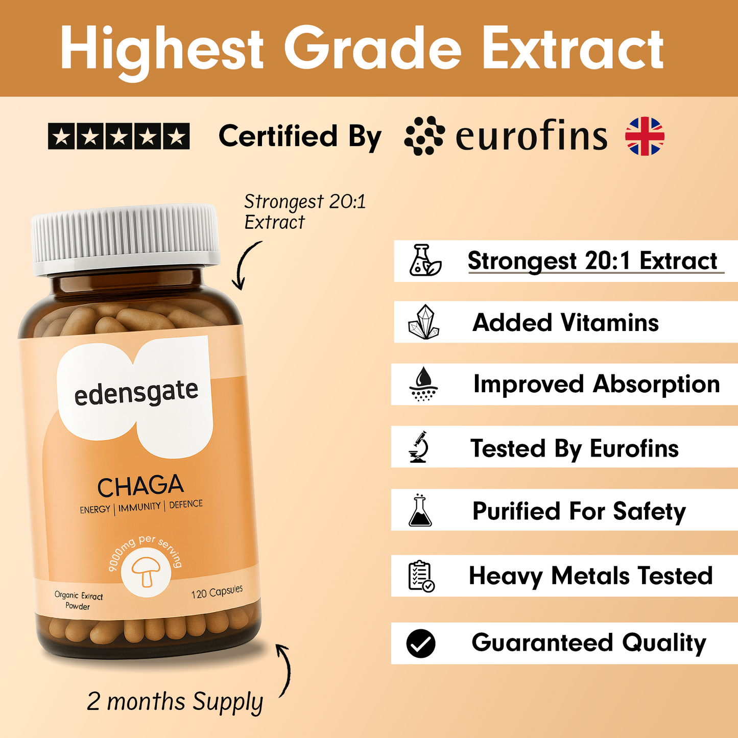 Chaga Mushroom Capsules - 120