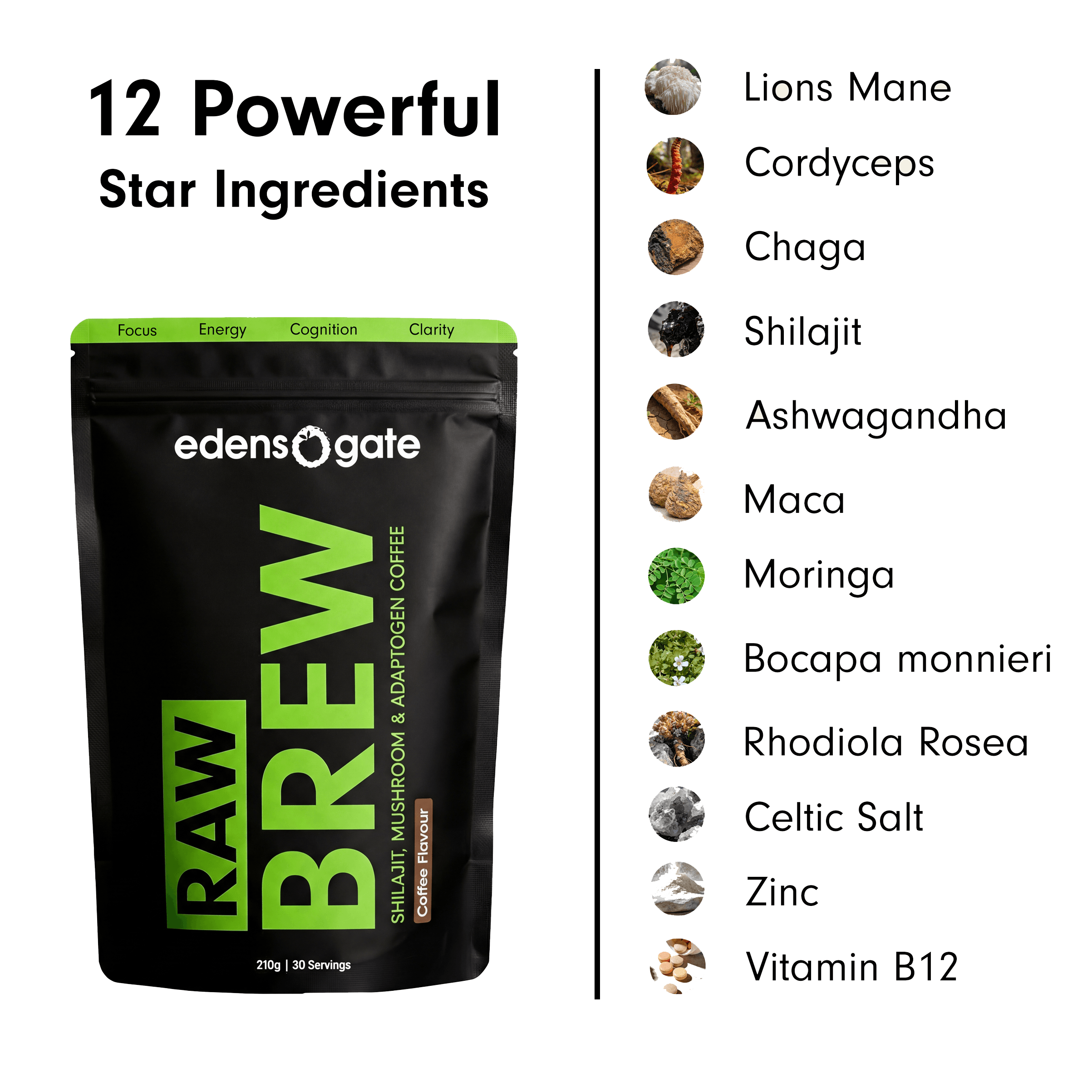 Rawbrew Kit